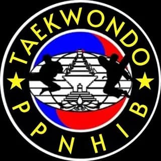 taekwondo nhi